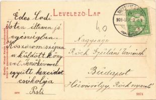 1908 Nagyszentmiklós, Sannicolau Mare; Római katolikus templom. Wiener Nárhán kiadása 1278. / church...