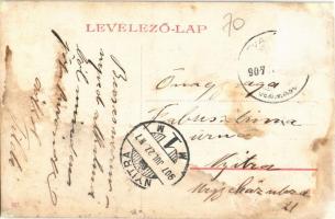 1907 Zsitvaújfalu, Nová Ves nad Zitavou; Globusitzkiy és Gróf Nyáry kastély / castles (r)