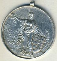 1920. "Magyar Athletikai Szövetség-gátfutás" Ag díjérem 16,4g T:2/3