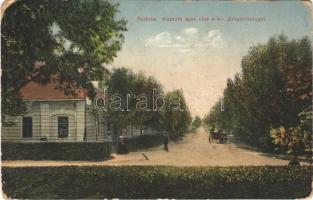 Palánka, Bácspalánka, Backa Palanka; Kossuth Lajos utca, kir. járásbíróság / street, county court (EK)