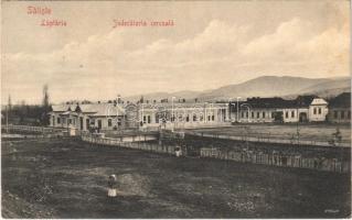1909 Szelistye, Saliste; Laptaria, Judecatoria cercuala / Tejüzem, Járásbíróság / district court, dairy farm