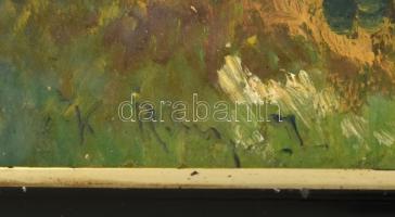 Kasznár Ring Jenő (1875-1945): Gólya a nyírfák közt. Olaj, karton, jelzett, üvegezett fa keretben, 3...