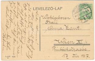 Pozsony, Pressburg, Bratislava; Ferenc József híd / bridge