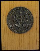 1913. "Ipari és Mezőgazdasági Kiállítás és Vásár-Békéscsaba" nagyalakú Br emlékérem, fára kasírozva T:2