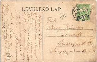 Temesvár, Timisoara; Gyárváros, Három Király utca, Blum István üzlete / Fabrik, Drei Königs Gasse / ...