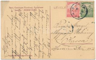 1918 Berzevice, Brezovica; Báró Gemingen Hornberg Ágostonné kastélya / castle