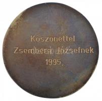 1995. "Repülés Baráti Kör - Budapest - Hungary" Br emlékérem, hátoldalon gravírozással, dí...