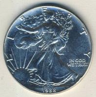 USA 1988. 1$ Ag 1oz. "Liberty-Sas" T:1-/2+ kis ph.