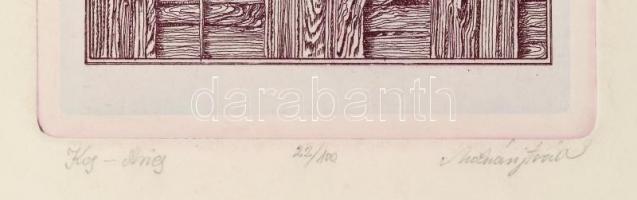 Molnár István (1947 - ) Kos-Aries. Rézkarc, papír. Jelzett. 21x12cm