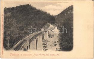 Tiszolc, Tisovec; Fogaskerekű vasúti híd. Lechnitzky O. 149. / cogwheel railway bridge