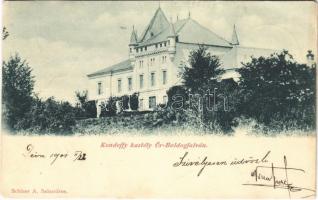 1901 Őraljaboldogfalva, Őrboldogfalva, Santamaria-Orlea; Kendeffy kastély. Kiadja Schaser A. / castle