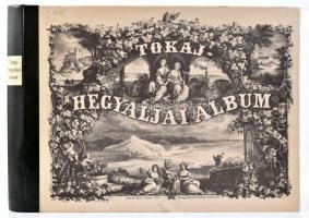 Dr. Szabó József-Török István: Tokaj-hegyaljai album. Pest, 1867, Emich Gusztáv. REPRINT! Félműbőr kötés, jó állapotban.