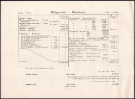 1916 A Pozsonyi I. Takarék- és Hitelszövetkezet 1916. évi zárószámadása és az igazgatóság jelentése,...