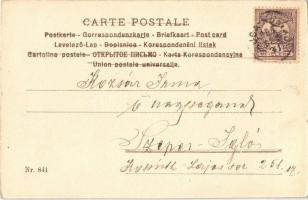 1901 Újévi üdvözlőlap, hölgy malacokkal 1901 New Year greeting art postcard, lady with pigs