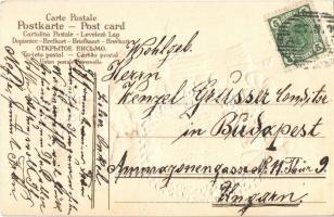 1906 Herzlichen Glückwunsch! / Greeting art postcard with children and clovers. Floral, Emb. litho (...