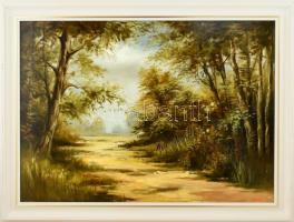 Kalcsó József (1952-): Erdő széle. Olaj, farost, jelzett, hátoldalán autográf felirattal, fa keretbe...