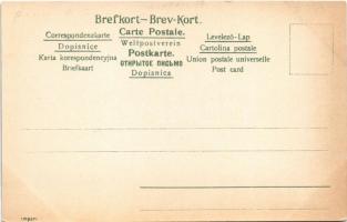 Stockholm, Kongl. Slottet, Parti af Strömmen / royal castle, steamships. Axel Eliassons Konstförlag ...