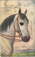 1924 Horse