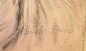 Révész Imre (1859-1945): Tengerihántás. Színezett rézkarc, papír, jelzett. Lap széle kissé foltos. Ü...