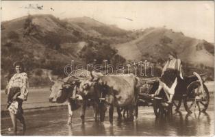 1910 Román folklór, ökrös szekér / Romanian folklore, ladies with ox cart. Edit. L. Alcalay. Colectia A. Bellu (EK)