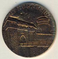 NSZK 1971. "Bayerische Vereinsbank-Nürnberg" Br emlékérem T:1