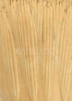 Csont nyelű sétapálca
Dúsan faragott ébenfa, fém és csont. Fogóján oroszlánfej, szájában gazellával...