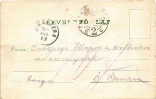 1902 Miskolc, Igazságügyi palota. Floral (r)