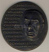 NSZK 1994. "Theodor Heuss" extrém nagyalakú Br plakett T:2