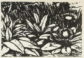 cca 1986 Rékassy Csaba (1937-1989): 10 grafikáról készült sokszorosított nyomata papíron. Jelzés nél...