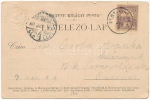 1901 Budapest II. Máriaremete, templom belseje, oltár, fa a kegyképpel (ázott sarkak / wet corners)