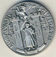 NSZK DN "Oroszlán Henrik" ffém emlékérem T:1