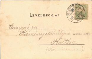 1902 Budapest V. Fővárosi vigadó. Ganz Antal 90. (vágott / cut)