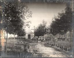 cca 1930 M. kir. Téli Gazdasági Iskola Csongrád 3 db nagy méretű fotó 29x22 cm