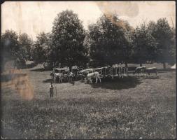 cca 1930 M. kir. Téli Gazdasági Iskola Csongrád 3 db nagy méretű fotó 29x22 cm