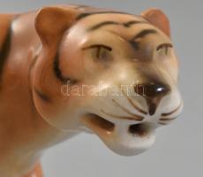 Royal dux porcelán tigris. Kézzel festett, jelzett, hibátlan. 19x8,5 cm