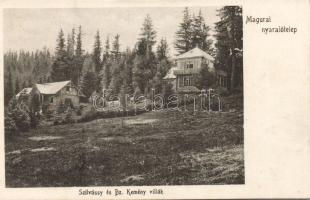 Magura Szilvássy and Kemény villas