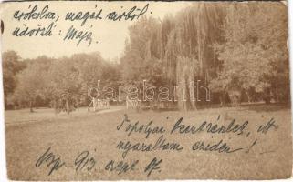 1913 Budapest, Topolyai kertrészlet. photo (EK)
