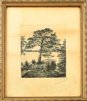Brunner jelzéssel: Fa a tónál. Rézkarc, papír, jelzett, üvegezett keretben, foltos, 20×14 cm