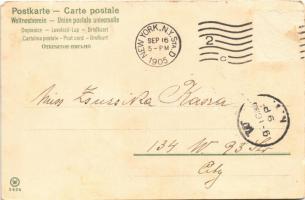 1905 German military, officer chicken's wedding. litho (Rb)