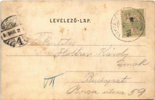 1903 Budapest XXII. Nagytétény, Löwy-féle uradalmi kastély. Szakál Károly kiadása (r)