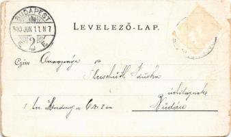 1900 Budapest VIII. Ludoviceum, Ludovika. Walter Haertel. C. Andelfinger & Cie. Kunstanstalt Nr....