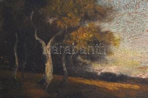 Smola István (?-?): Tájkép, olaj, karton, jelzett, fa keretben, 21x27cm