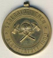 DN "Magyar Országos Tűzoltó Szövetség-Szolgálati érem" Br emlékérem T:2