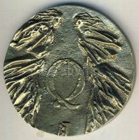 DN "Qualitás Galéria-Budapest" ffém reklám érem T:2