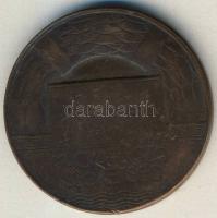 DN "Magyar Úszó Szövetség" Br díjérem T:2