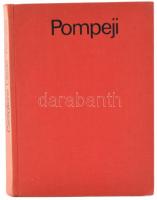 Castiglione László: Pompeji. Bp.,1973, Corvina. Fekete-fehér képanyaggal illusztrált. Kiadói egészvászon-kötésben, jó állapotban. A papírborító hiányzik.