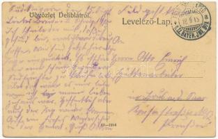 1915 Deliblát, Deliblato; Községháza, Hotel Palicsek szálloda, Görögkeleti szerb templom / town hall...