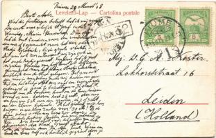 1908 Fiume, Rijeka; Palazzo Governo / government palace. W. L. 1219. (r)