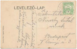 1911 Verőce, Nógrádverőce, Nógrád-Verőcze; Vasútállomás, gőzmozdony, Madari villa, Svadlo villa, nya...