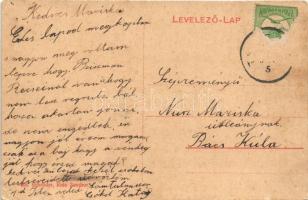 Temerin, Temeri; Matkovics kastély. W. L. (?) 404. Schröder kiadása / castle (EB)